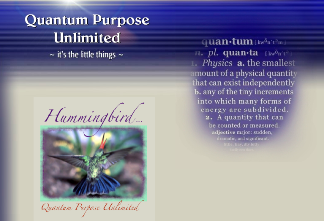 Quantum Purpose Unlimited